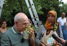 Ihlamur kokulu Büyükçekmece’de 1. Ihlamur Şenliği Başladı